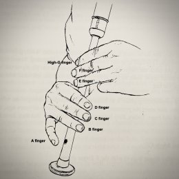 fingers names